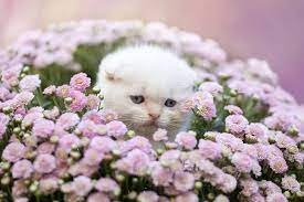 test6666